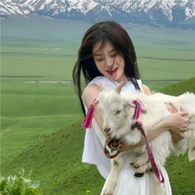 薄樱鬼第三季