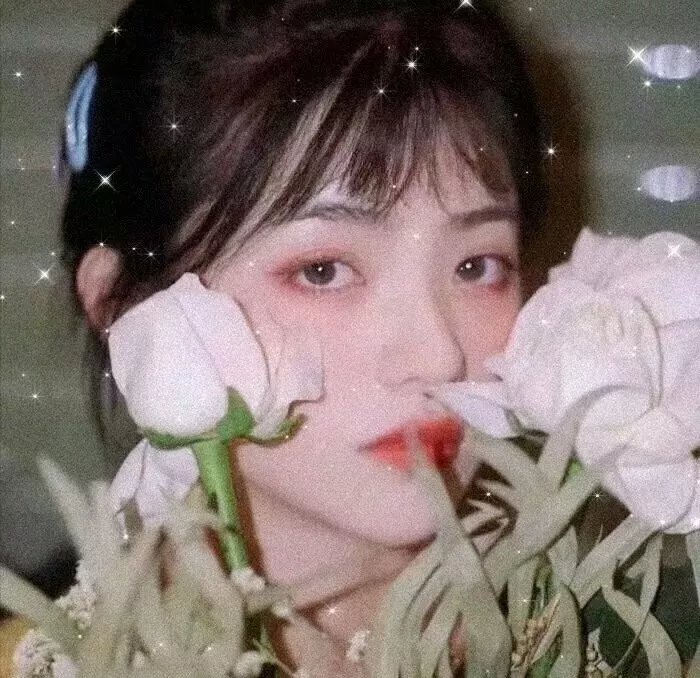 钢铁玫瑰